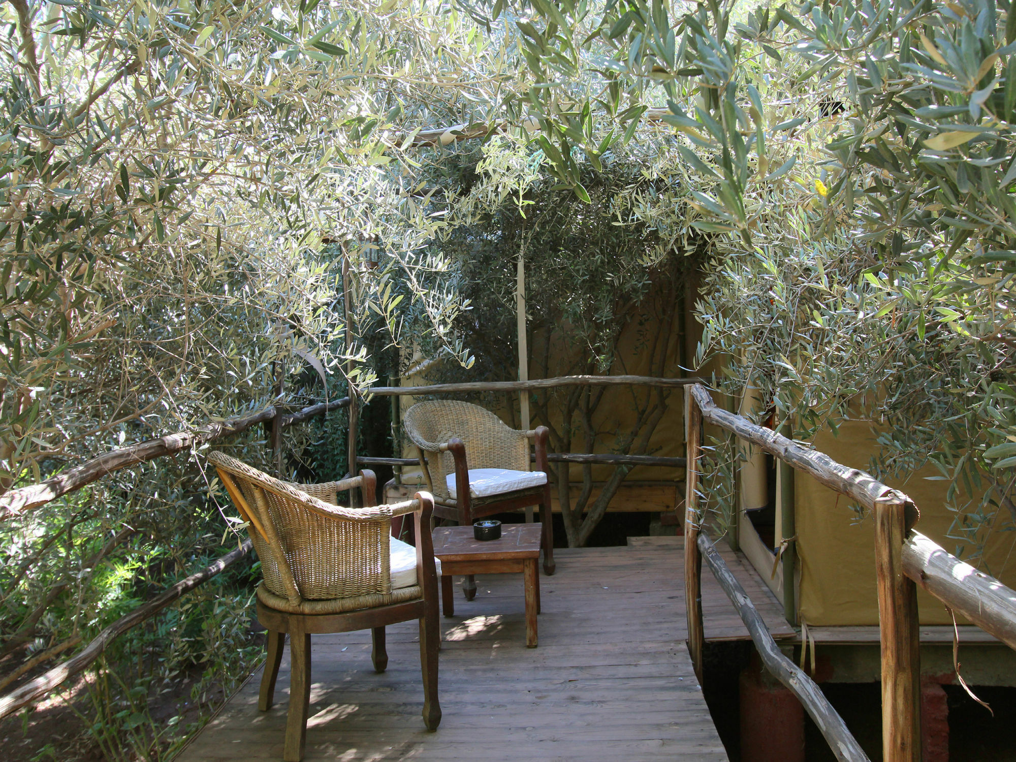 Le Jardin Touagana - Campement & Lodge Touggana Exterior photo
